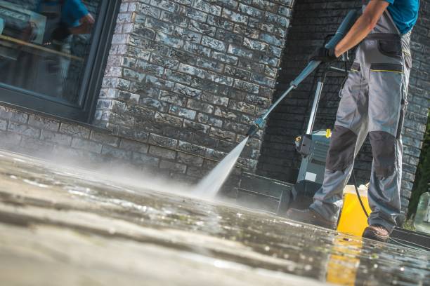 Animal Enclosure Cleaning in Blaine, TN